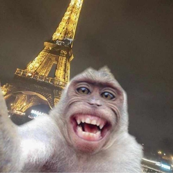 sweetiemonkey